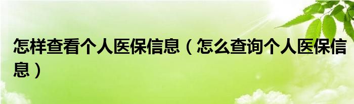 怎样查看个人医保信息（怎么查询个人医保信息）