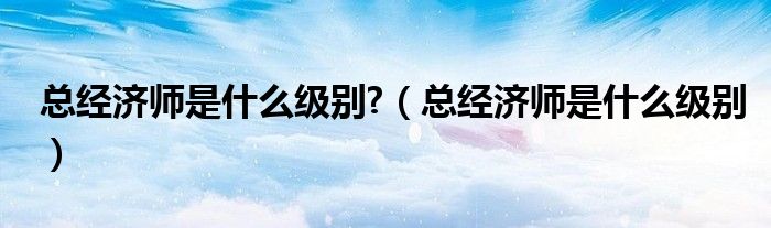 总经济师是什么级别?（总经济师是什么级别）