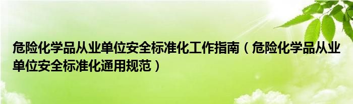 危险化学品从业单位安全标准化工作指南（危险化学品从业单位安全标准化通用规范）