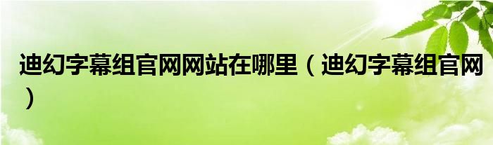 迪幻字幕组官网网站在哪里（迪幻字幕组官网）