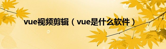 vue视频剪辑（vue是什么软件）