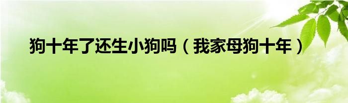 狗十年了还生小狗吗（我家母狗十年）