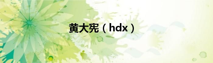 黄大宪（hdx）