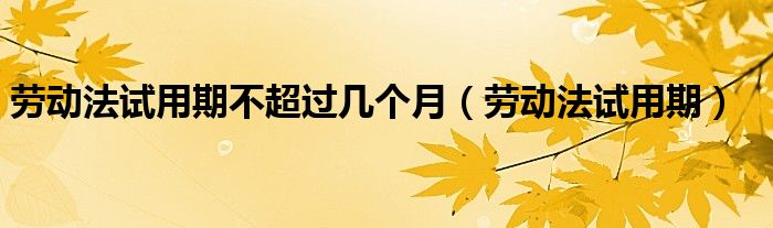 劳动法试用期不超过几个月（劳动法试用期）