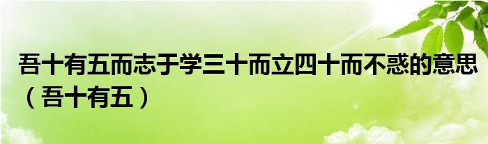 吾十有五而志于学三十而立四十而不惑的意思（吾十有五）