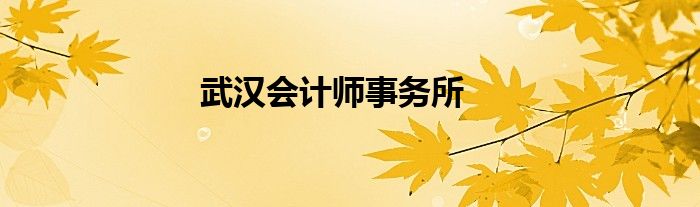 武汉会计师事务所