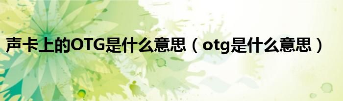 声卡上的OTG是什么意思（otg是什么意思）