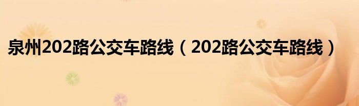 泉州202路公交车路线（202路公交车路线）