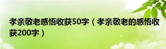 孝亲敬老感悟收获50字（孝亲敬老的感悟收获200字）