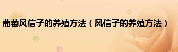 葡萄风信子的养殖方法（风信子的养殖方法）