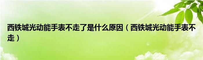 西铁城光动能手表不走了是什么原因（西铁城光动能手表不走）