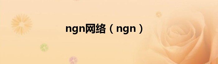 ngn网络（ngn）