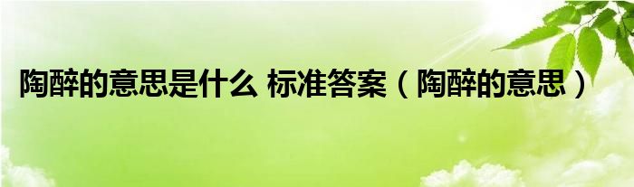 陶醉的意思是什么 标准答案（陶醉的意思）