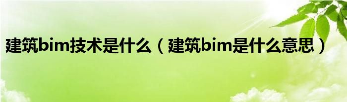 建筑bim技术是什么（建筑bim是什么意思）