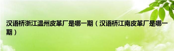 汉语桥浙江温州皮革厂是哪一期（汉语桥江南皮革厂是哪一期）