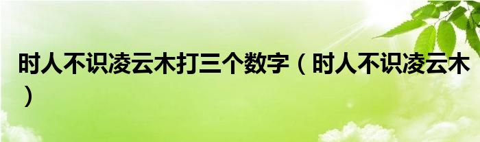 时人不识凌云木打三个数字（时人不识凌云木）