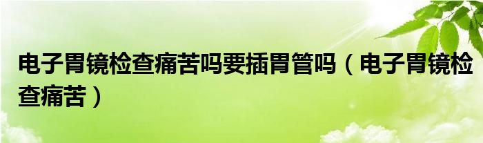 电子胃镜检查痛苦吗要插胃管吗（电子胃镜检查痛苦）