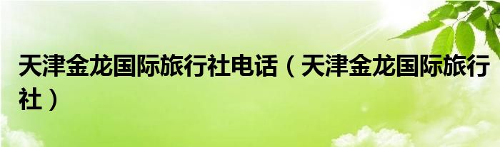 天津金龙国际旅行社电话（天津金龙国际旅行社）