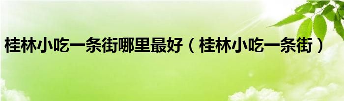 桂林小吃一条街哪里最好（桂林小吃一条街）