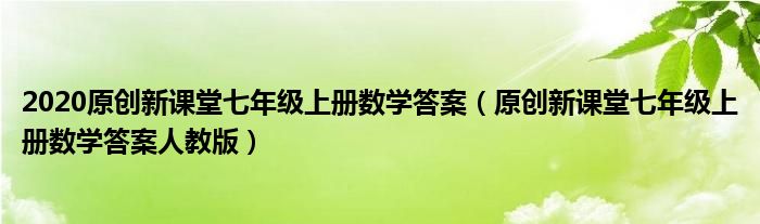 2020原创新课堂七年级上册数学答案（原创新课堂七年级上册数学答案人教版）