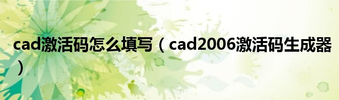 cad激活码怎么填写（cad2006激活码生成器）