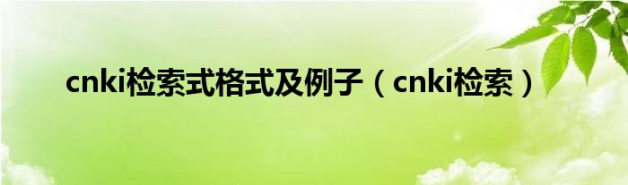 cnki检索式格式及例子（cnki检索）