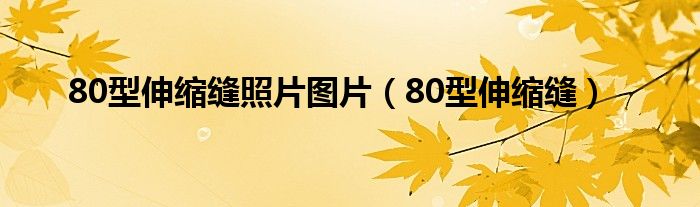 80型伸缩缝照片图片（80型伸缩缝）