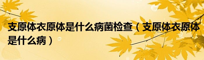 支原体衣原体是什么病菌检查（支原体衣原体是什么病）