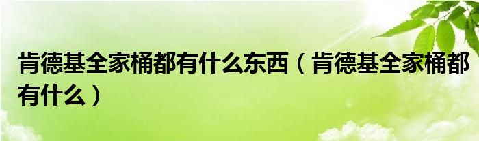 肯德基全家桶都有什么东西（肯德基全家桶都有什么）