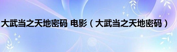 大武当之天地密码 电影（大武当之天地密码）