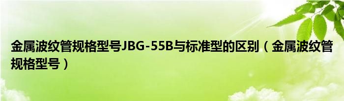 金属波纹管规格型号JBG-55B与标准型的区别（金属波纹管规格型号）