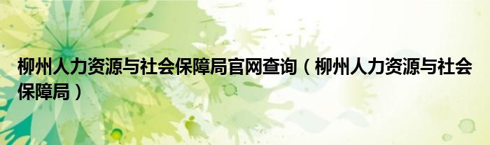 柳州人力资源与社会保障局官网查询（柳州人力资源与社会保障局）