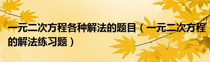 一元二次方程各种解法的题目（一元二次方程的解法练习题）