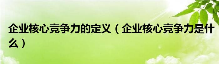 企业核心竞争力的定义（企业核心竞争力是什么）