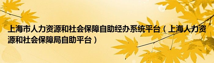 上海市人力资源和社会保障自助经办系统平台（上海人力资源和社会保障局自助平台）