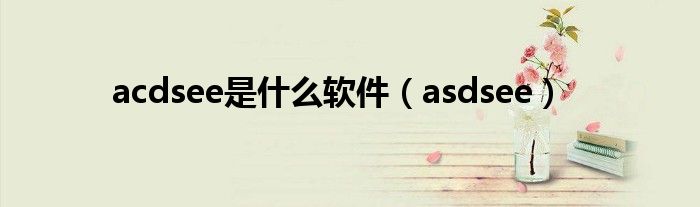 acdsee是什么软件（asdsee）