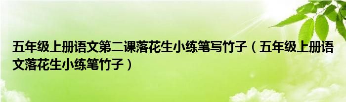 五年级上册语文第二课落花生小练笔写竹子（五年级上册语文落花生小练笔竹子）