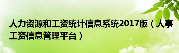 人力资源和工资统计信息系统2017版（人事工资信息管理平台）