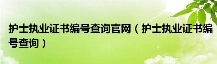 护士执业证书编号查询官网（护士执业证书编号查询）