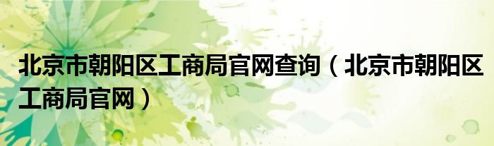 北京市朝阳区工商局官网查询（北京市朝阳区工商局官网）