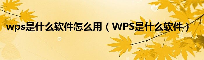 wps是什么软件怎么用（WPS是什么软件）