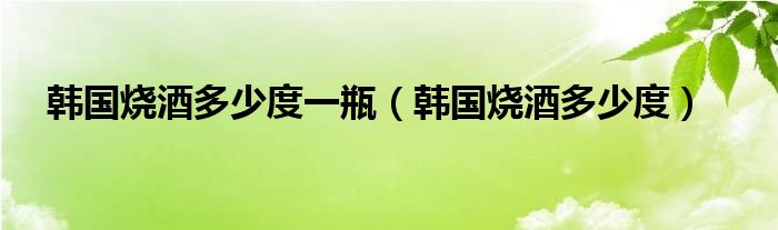 韩国烧酒多少度一瓶（韩国烧酒多少度）