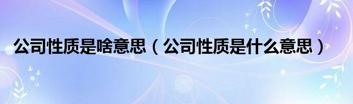 公司性质是啥意思（公司性质是什么意思）