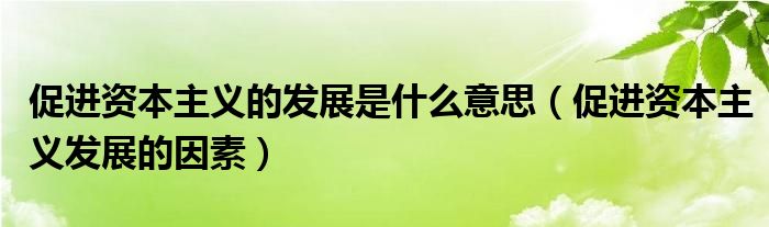 促进资本主义的发展是什么意思（促进资本主义发展的因素）