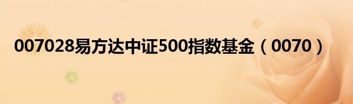 007028易方达中证500指数基金（0070）