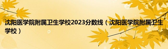 沈阳医学院附属卫生学校2023分数线（沈阳医学院附属卫生学校）