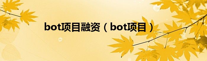 bot项目融资（bot项目）