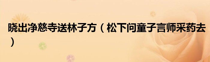 晓出净慈寺送林子方（松下问童子言师采药去）