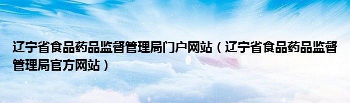 辽宁省食品药品监督管理局门户网站（辽宁省食品药品监督管理局官方网站）