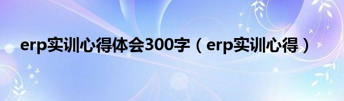 erp实训心得体会300字（erp实训心得）